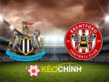 Soi kèo, nhận định Newcastle vs Brentford – 23h30 – 16/09/2023