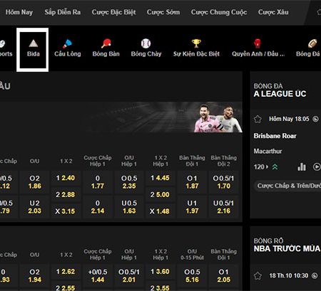 Cược bida là gì? Cách chơi cá cược bida tại nhà cái Vn88